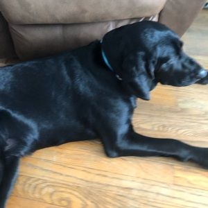 Meet your Posher, Todd